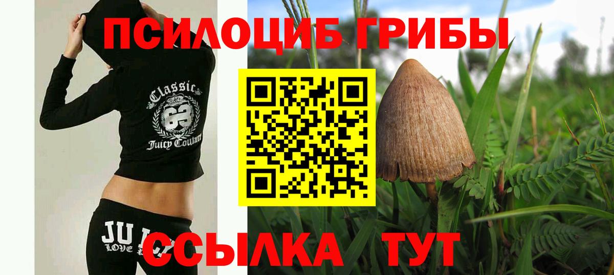 Барнаул  Псилоцибиновые грибы прущие грибы  купить  цена  Вход с VPN 